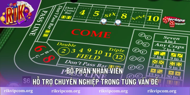 Bộ phận nhân viên hỗ trợ chuyên nghiệp trong từng vấn đề