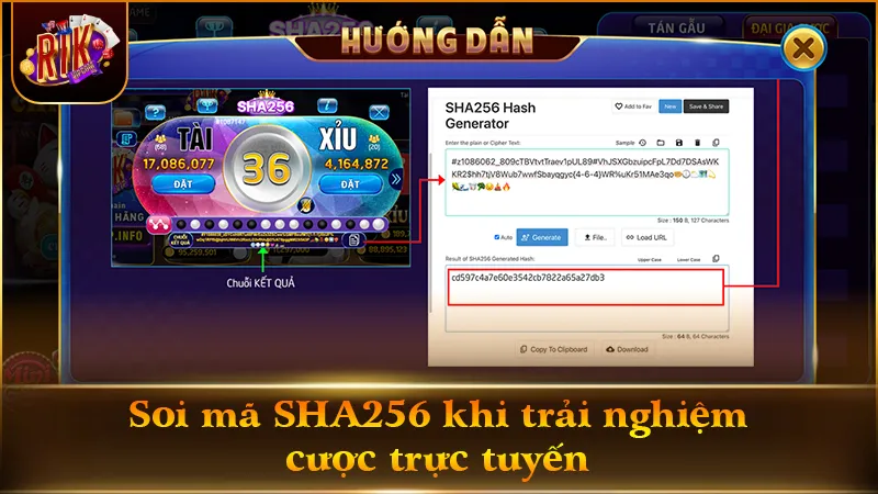 Mẹo kiểm tra đối soát chuỗi SHA256 xanh chín khi cược