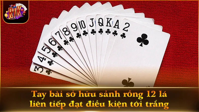 Thế bài sảnh rồng đạt điều kiện Tới trắng ăn tiền lập tức